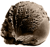 Czekolada