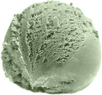 Mięta